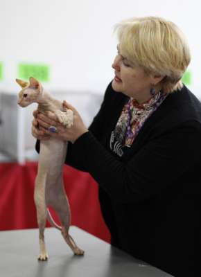 �������� ����� '������� ���-�����' 30 ������-1 ������� 2013., ������������ ��� 3604